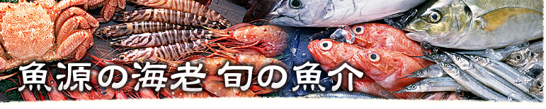 魚源の海老 旬の魚貝