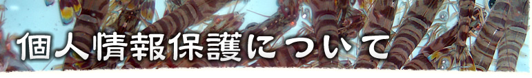 個人情報保護について